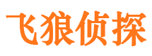 衡水外遇出轨调查取证